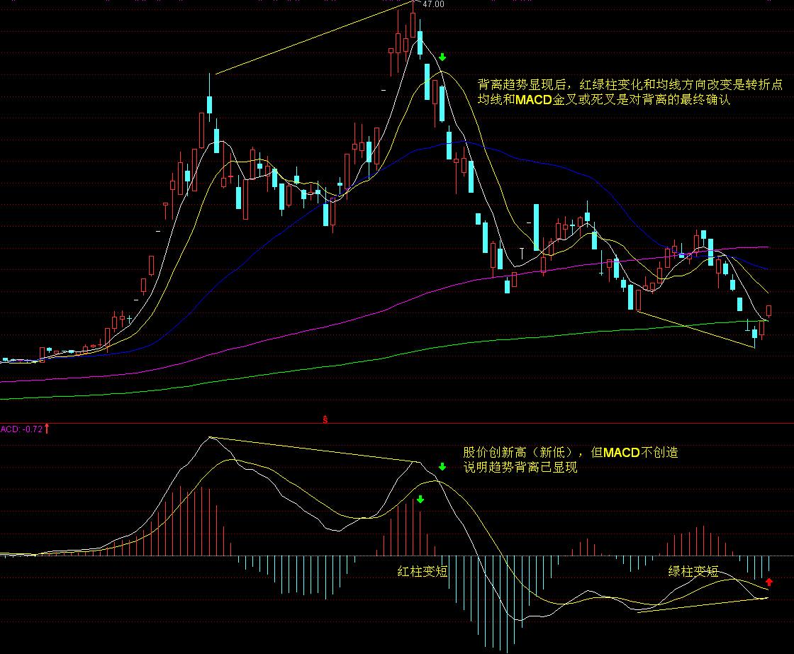 看完这个MV，被绿水青山的美好治愈了