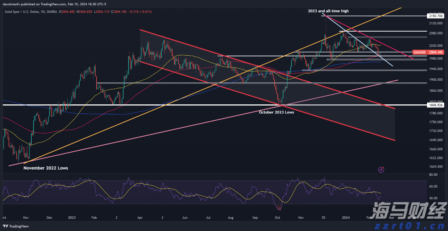 涉多项嫌疑,韩国前总统尹锡悦夫人金建希接受特检组首次调查