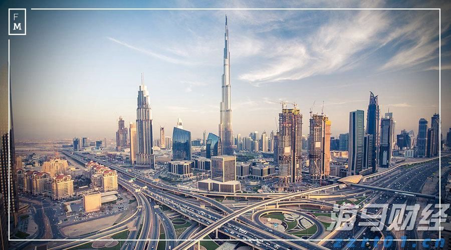 市政协常委开展专题视察活动