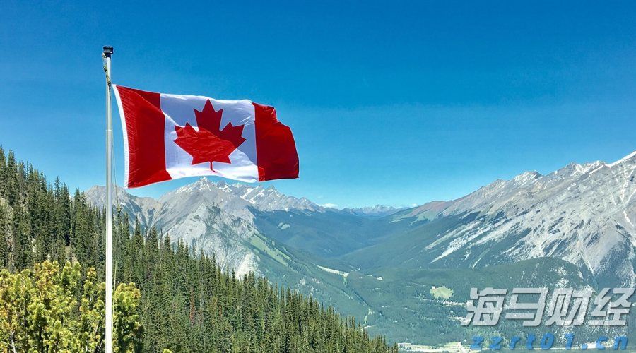 大圩镇：黄皮满枝头致富“黄金果 ”